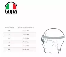 AGV 2118356018 007 S PISTA GP RR E2206 DOT MPLK MONO MATT CARBON